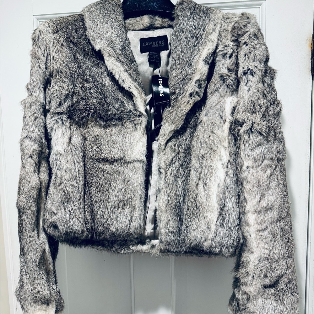 Express World Brand: Teddy Jacket in Gray.